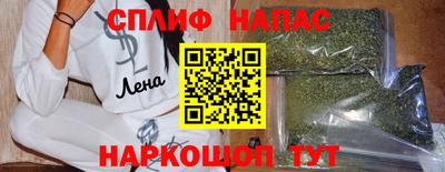 a pvp Славгород