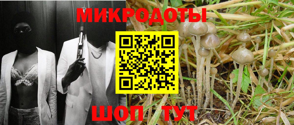Александров  Галлюциногенные грибы Psilocybe  Вход с VPN  Галлюциногенные грибы Psilocybine cubensis 