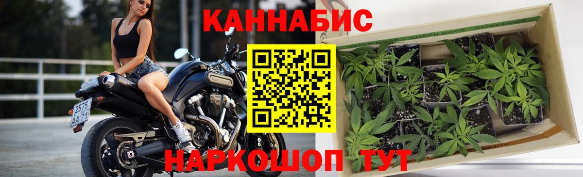 Бошки Шишки White Widow Александров